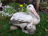 Image008